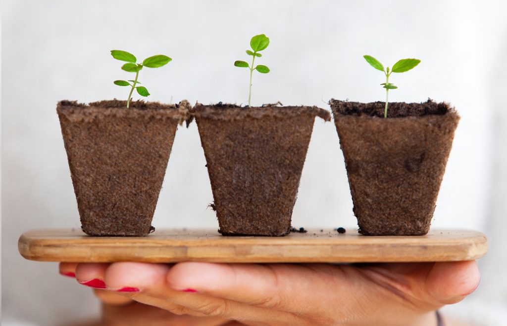 are you ready to invest